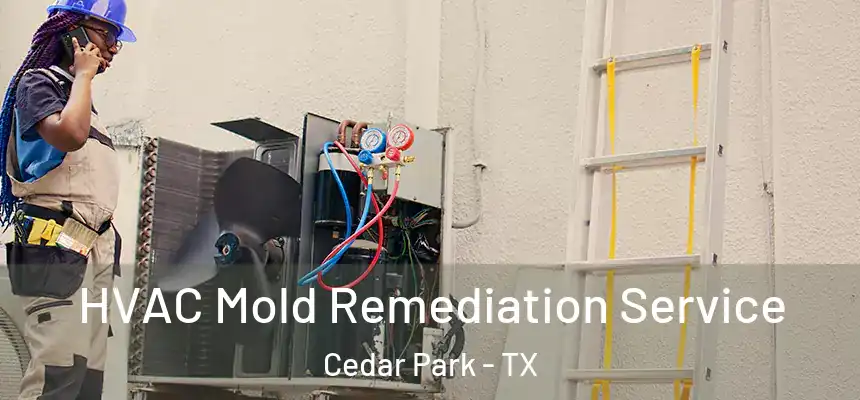  HVAC Mold Remediation Service Cedar Park - TX