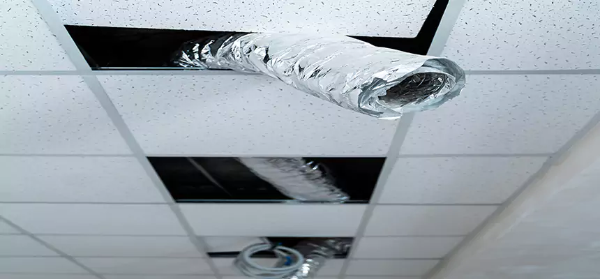 Affordable HVAC Sanitizing After Pest Removal in Cedar Park