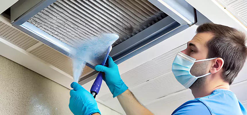 Proactive Dryer Vent & Auxiliary Duct Pollen Cleanup in Cedar Park, TX