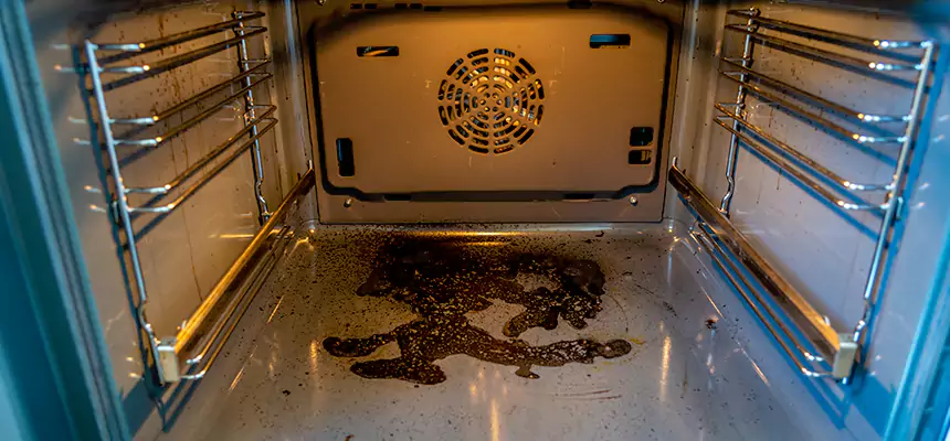 Our Dryer Vent Mold Cleaning Services in Cedar Park, TX