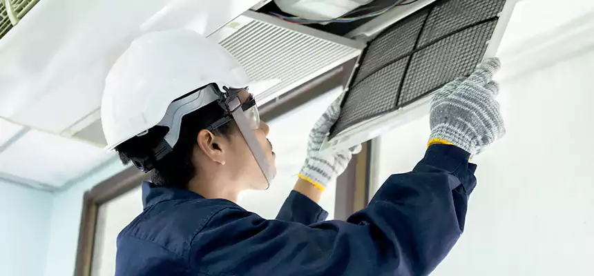 Our Mold & Mildew Removal from Air Ducts Services in Cedar Park, TX