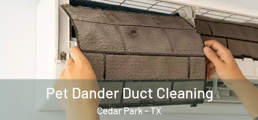  Pet Dander Duct Cleaning Cedar Park - TX