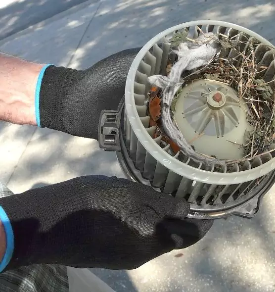 About Air Duct Mice Removal in Cedar Park, TX