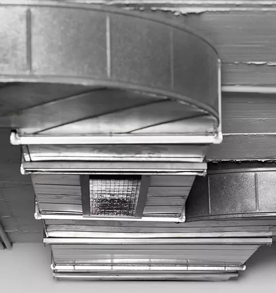 Professional Air Duct Pet Hair Removal in Cedar Park, TX