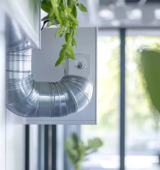 Professional Eco-Safe Dryer Vent Cleaning in Cedar Park, TX