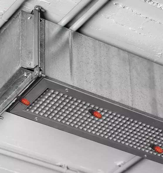 Affordable Insect Removal from Air Ducts in Cedar Park, TX