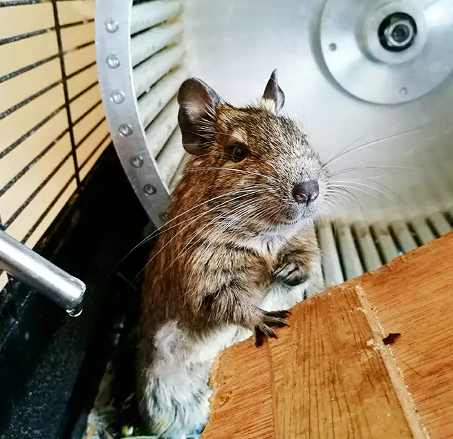 Why Homeowners & Businesses Trust Us Cedar Park, TX