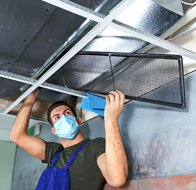 Why Homeowners Businesses Trust Us in Cedar Park, TX